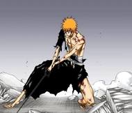 Ichigo prepares to continue fighting despite Ulquiorra's increase in power.