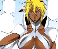 Harribel believes she defeated Hitsugaya.