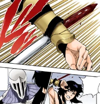 BG9 acorrala a la capitana