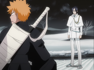 Uryū warns Ichigo that the Hollows and Arrancar will be much stronger here.