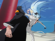 Ichigo and Grimmjow battle at close range.