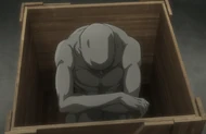 Urahara reveals a special  that would allow Isshin to become a Shinigami-Human hybrid and completely counteract Masaki's Soul.