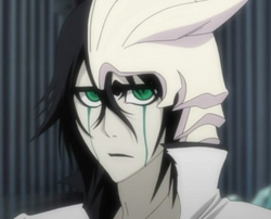 Ulquiorra Infobox