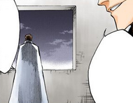 213Aizen and Gin discuss