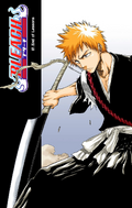 Ichigo on the cover of Chapter 67.