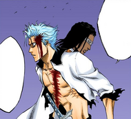 Tōsen warns Grimmjow that Sousuke Aizen is displeased with his actions.