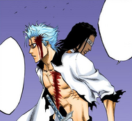 Tōsen warns Grimmjow that Aizen is not pleased with his actions.