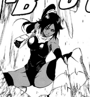 Yoruichi wearing her anti-Hierro armor.