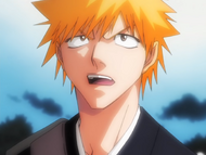 Ichigo declares that he wants to protect as many people as possible.