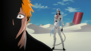 Sexta Espada staje za Ichigo.