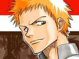 Ichigo Kurosaki/Image Gallery