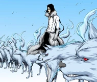 Starrk's wolf pack.