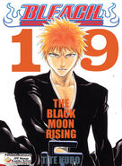 Ichigo na okładce 19 tomu zatytułowanego „The Black Moon Rising”.