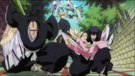 Rurichiyo is taken by her bodyguards from Ichigo.