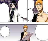 Unohana offers to fully restore Ichigo's Reiryoku before they reach the Fake Karakura Town.