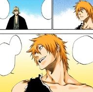 Ichigo asserts that he will tell his friends about his powers when he goes home.