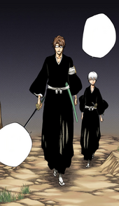 Bleach -100 Aizen y Gin