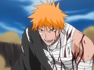 Ichigo proclaims that he has achieved Bankai.