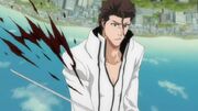 Hirako corta a aizen