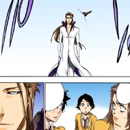 Tatsuki sees a bottle Mizuiro threw at Aizen disintegrate from the latter's Reiatsu.