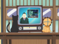 Kon and Yoruichi watch a news report on the explosion at the hospital.