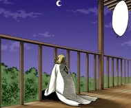 Urahara sits outside and reflects on his first day as a captain.