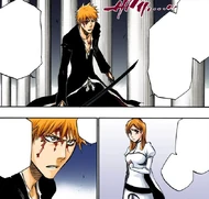 Ichigo assures Orihime that she has done nothing wrong.