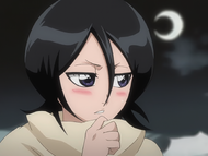 Rukia reveals that Byakuya let her and Renji come to Hueco Mundo.