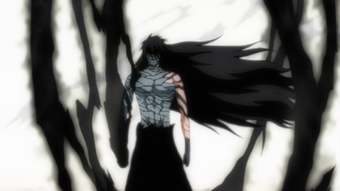 Ichigo Final Getsuga Form S suke aizen and gin ichimaru arrive in ...