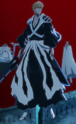 Ichigo Kurosaki/Image Gallery, Bleach Wiki