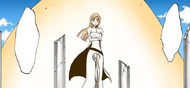 Orihime protects herself from the battle with Santen Kesshun.