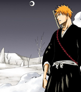 Ichigo sees the barren landscape of Hueco Mundo for the first time.