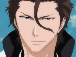 Sōsuke Aizen Image Gallery Bleach Wiki Fandom