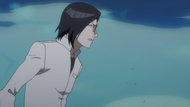 Uryū watches as Ichigo activates his Bankai.