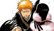 Ichigo tackles Don Kanonji.