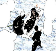 Hanatarō and Isane Kotetsu insist that Rukia not move until she is fully healed.