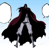 Yhwach appears in Soul Society.