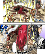 Byakuya watches as Hihiō Zabimaru reverts to the form of Renji's sealed Zanpakutō.