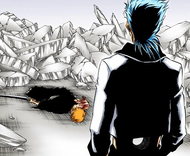 Grimmjow finds a motionless and badly wounded Ichigo.