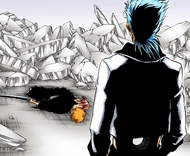 Grimmjow finds Ichigo after taking Orihime.