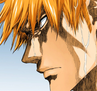 Ichigo glares into the distance after speaking to Byakuya.