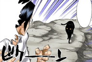 61Yoruichi reveals