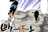 Uryū is shocked to learn that Orihime and Sado's teacher is a cat.