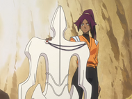 Yoruichi shows Ichigo the Tenshintai.