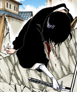 Rukia is defeated by the Wandenreich.