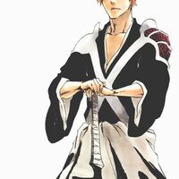 黑崎一護 Bleach死神中文维基wiki Fandom 黑崎一護 Bleach死神中文维基wiki Fandom