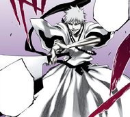 Zangetsu prepares to activate his Bankai in the same manner as Ichigo.