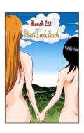 Rukia & Orihime on the cover of Chapter 228.