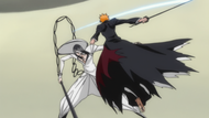 Ichigo swings at Nnoitra.