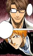 Aizen reveals the existence of the Hōgyoku to Ichigo.